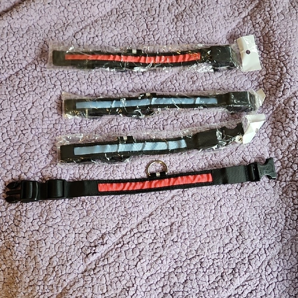 LED Dog Collars. Blue, Pink and Red